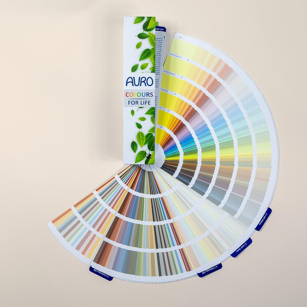 CFL Farbtonblock NEU 2024